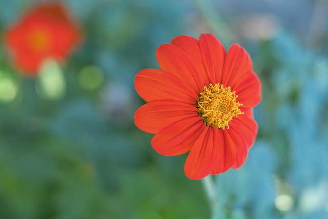 img3.webp